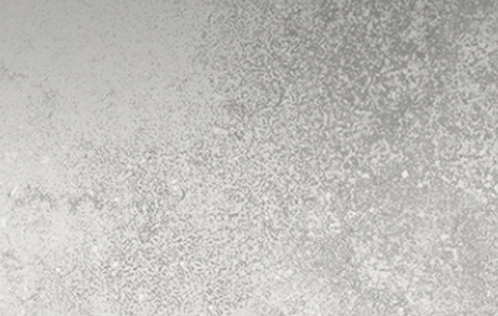 Limestone Ash 09Lim.Ash 900*600*20