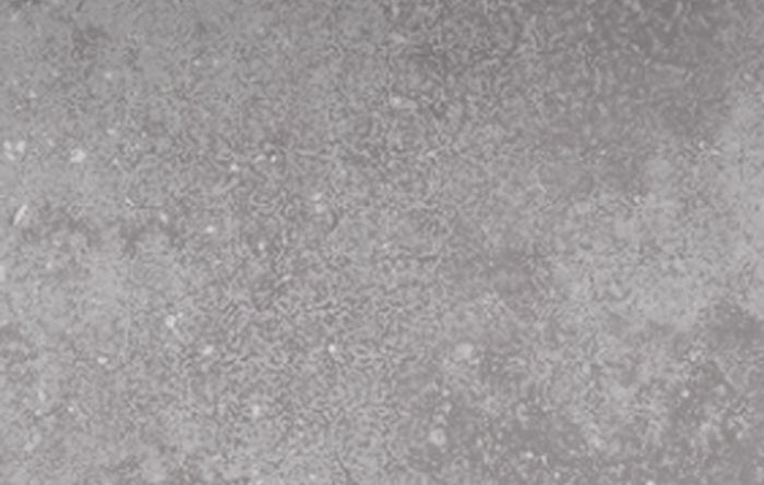 Limestone Silver 09Lim.Silver 900*600*20